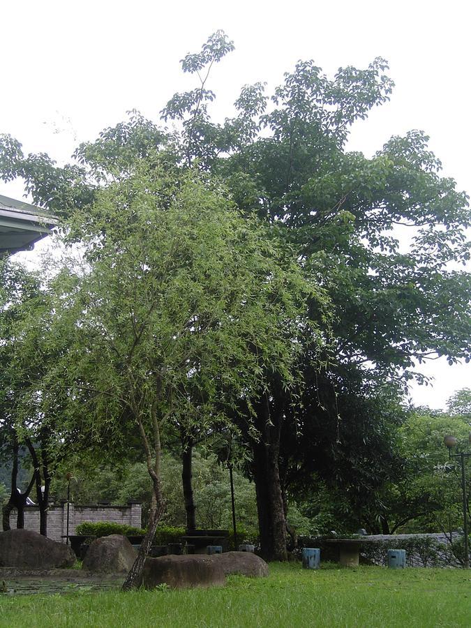 Fumei Bluebird Homestay Nanzhuang Extérieur photo