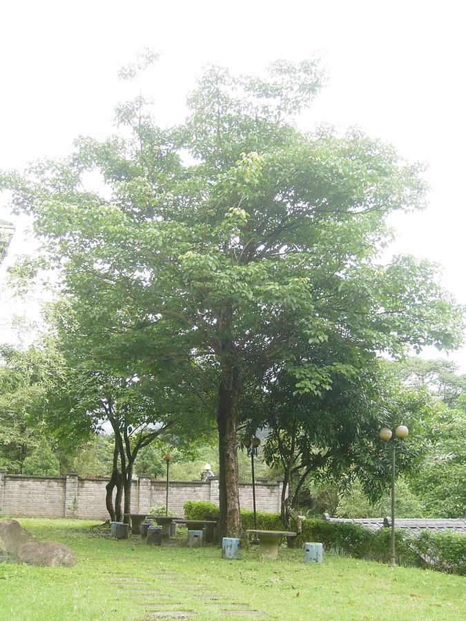 Fumei Bluebird Homestay Nanzhuang Extérieur photo